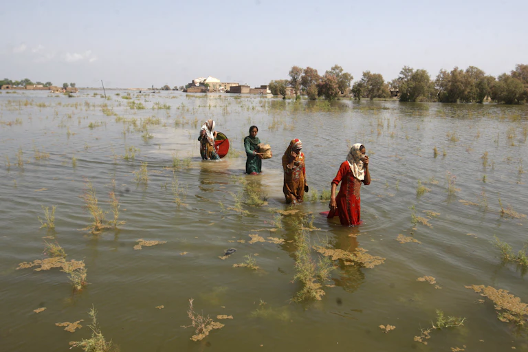 four women wade through a flooded plain