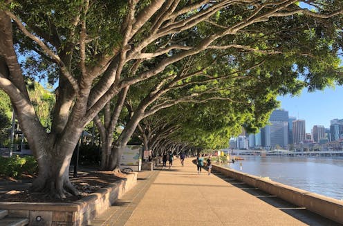 Climate change threatens up to 100% of trees in Australian cities, and most urban species worldwide