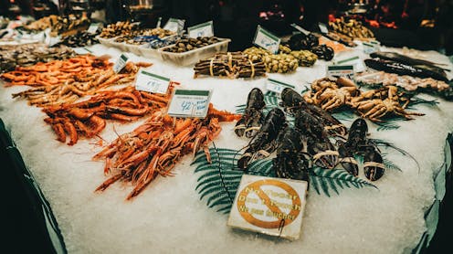 Where is your seafood really from? We’re using 'chemical fingerprinting' to fight seafood fraud and illegal fishing