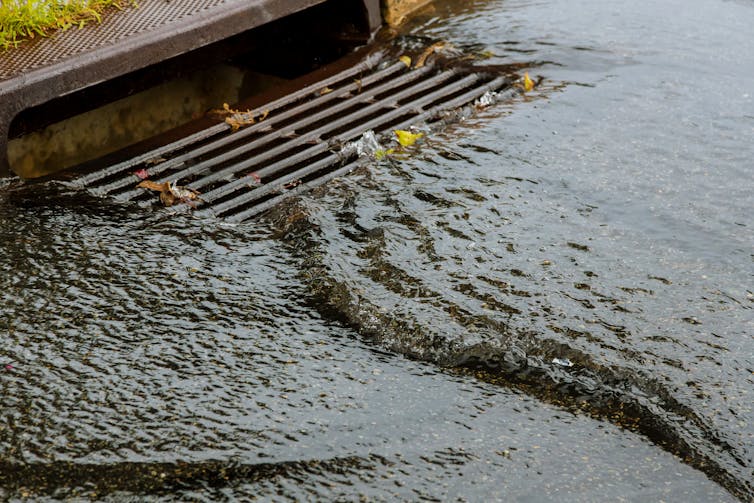 Water draining into a roadside sewer grate.