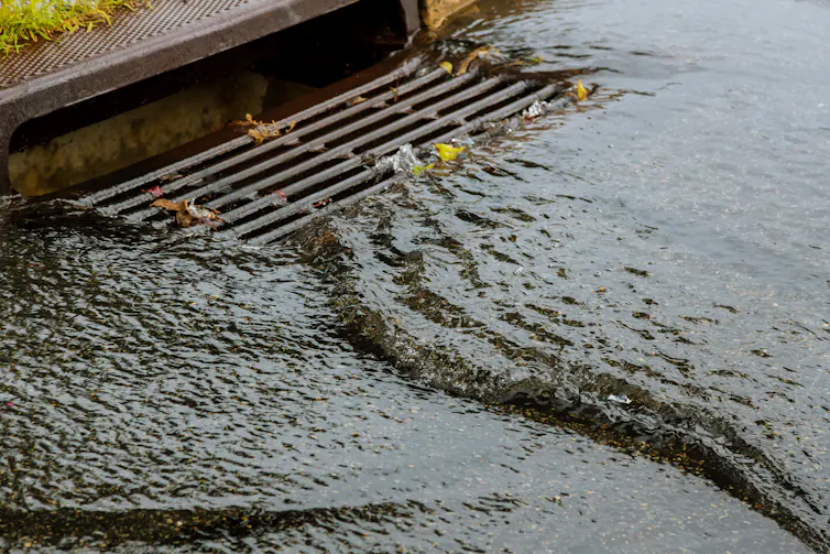 Water draining into a roadside sewer grate.