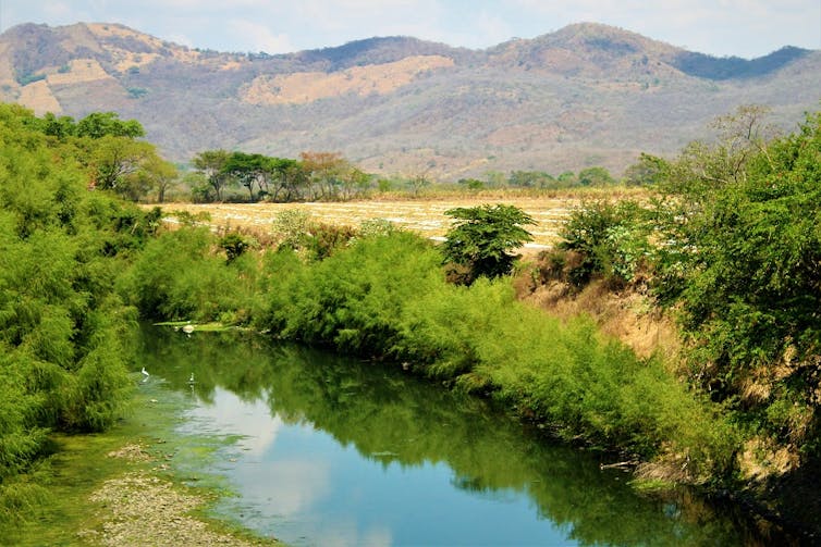 A narrow river with green shrubbery on both sides and mountains in the background.