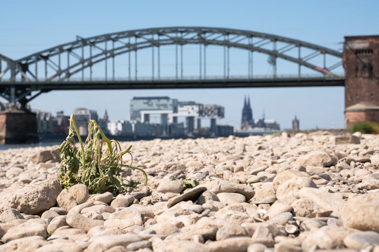 Dry riverbed with bridge in background