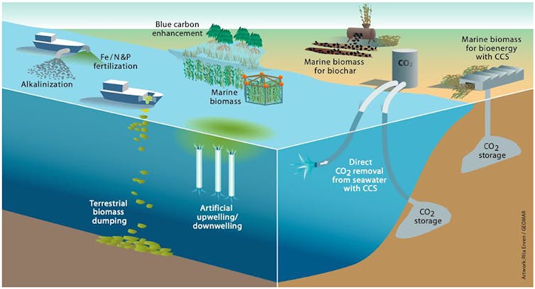 A cross-section of ocean showing different types of carbon capture, such as ocean fertilisation