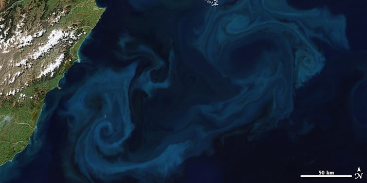 Satellietbeeld van de kust met wervelingen van fytoplankton