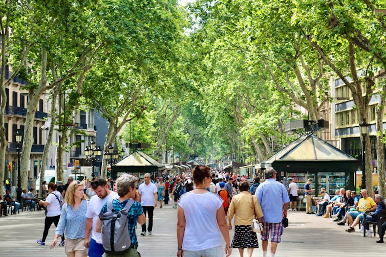 people walking through a tree-lined public space in Barcelona