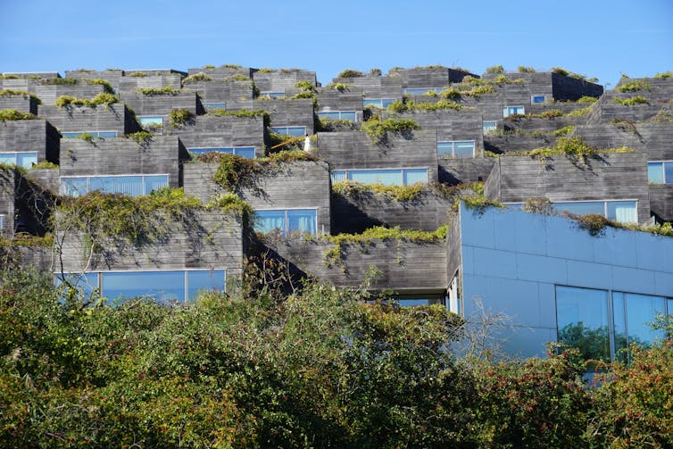 Stepped rows of apartments on a hill with vegetation growing on their roofs.