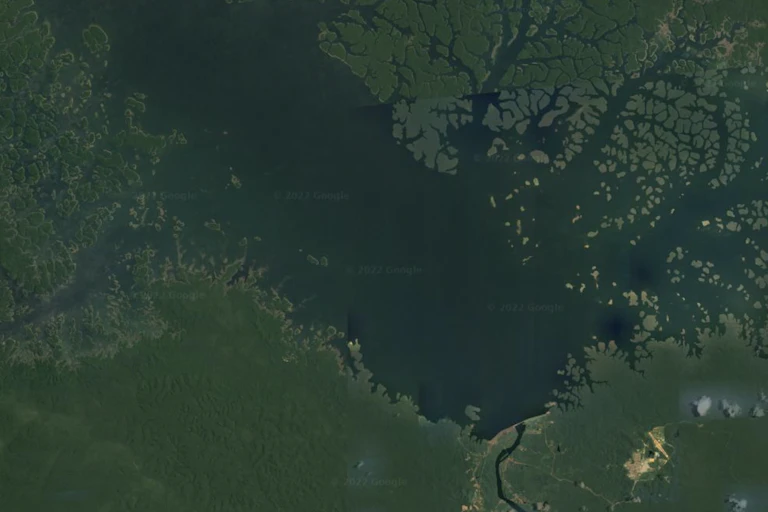 Satellite image of dam, reservoir and islands