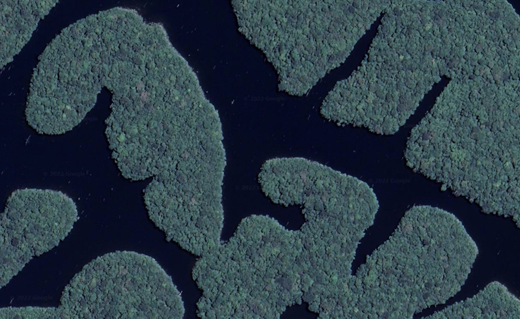 Satellite view of forest island
