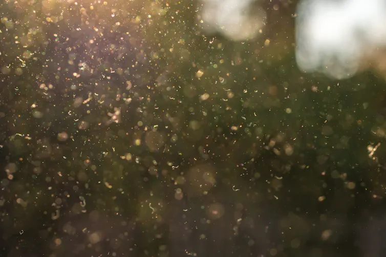 pollen in the air