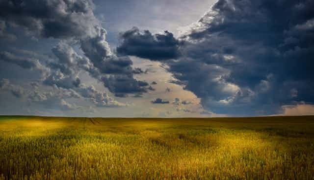 rain clouds of grassy fields
