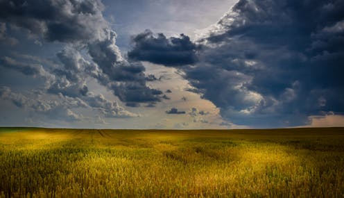 Lush grasslands, higher allergy risks – what hay fever sufferers can expect from another La Niña season