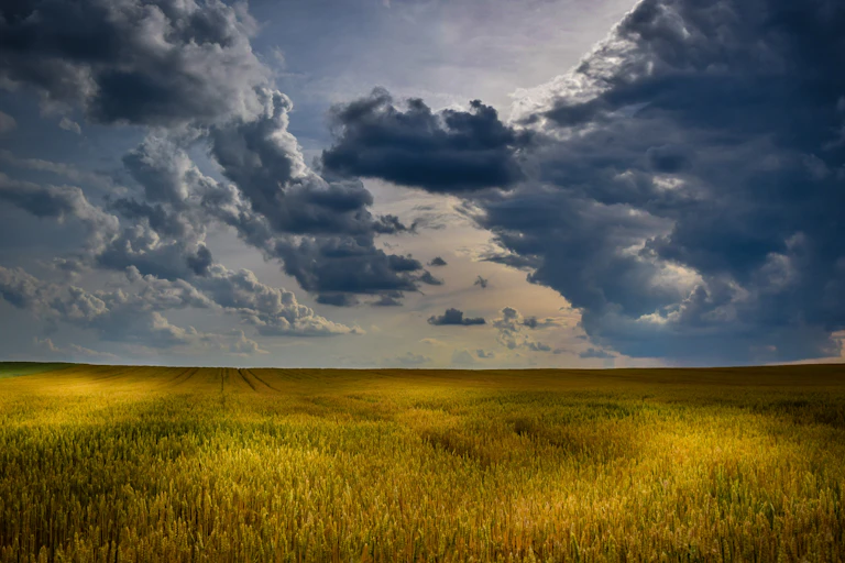 rain clouds of grassy fields