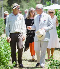 two men walk through orchard with others following