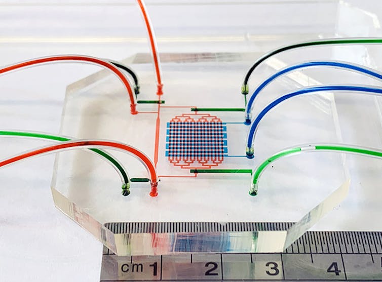 A clear chip with colourful tubes coming out on both ends