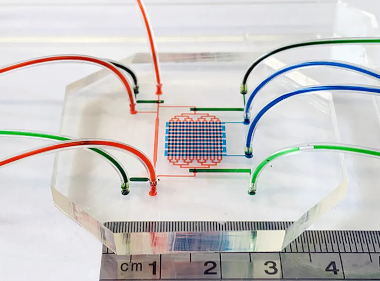 A clear chip with colourful tubes coming out on both ends
