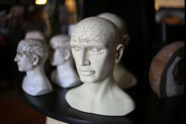 Image of phrenology head busts