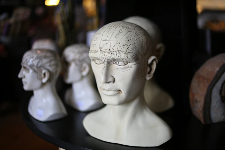 Image of phrenology head busts