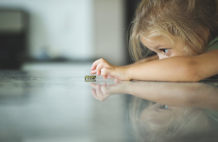 A girl looks at a caterpillar on a shiny floor.