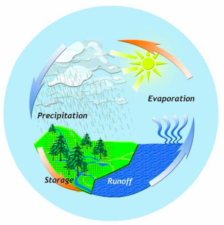 Illustration showing a loop of precipitation, evaporation, runoff and storage