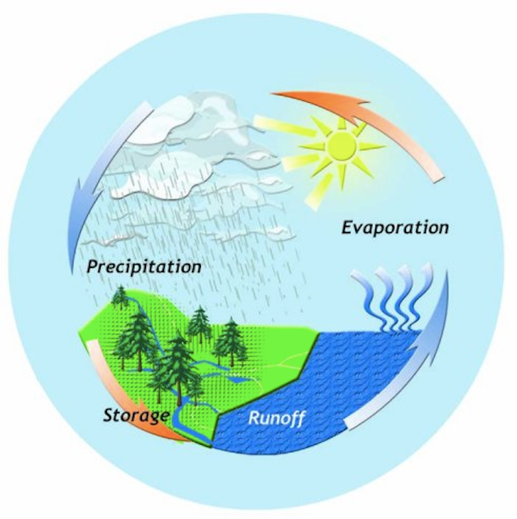 Illustration showing a loop of precipitation, evaporation, runoff and storage
