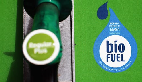 New Zealand has announced a biofuel mandate to cut transport emissions, but that could be the worst option for the climate