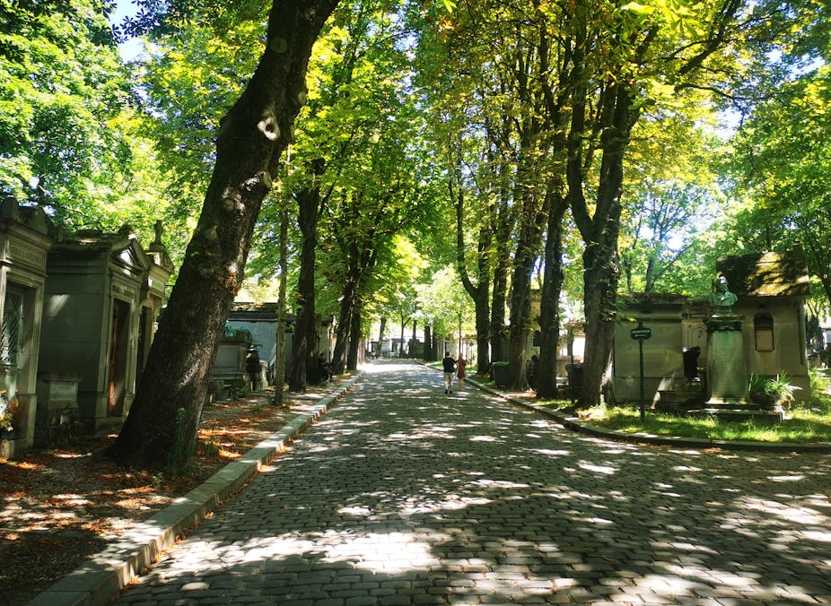 Arbres dans le cimetière du Père Lachaise