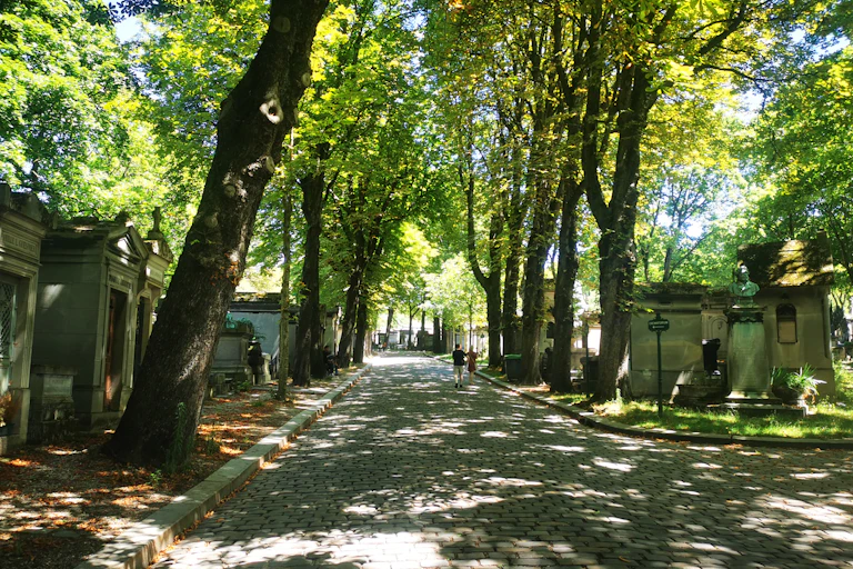 Arbres dans le cimetière du Père Lachaise