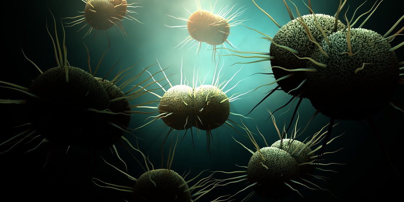 Gonorrhea Became More Drug Resistant While Attention Was On Covid 19