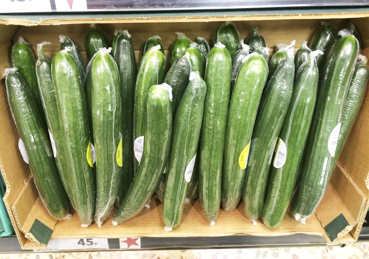 A box filled with plastic-wrapped cucumbers