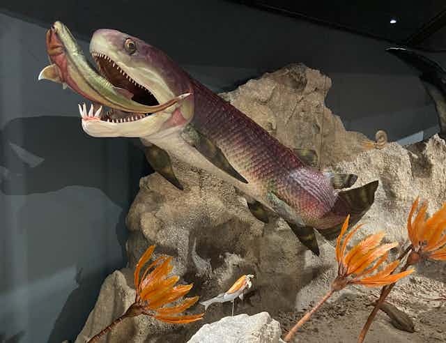 A Gogo fish diorama is displayed in a museum.