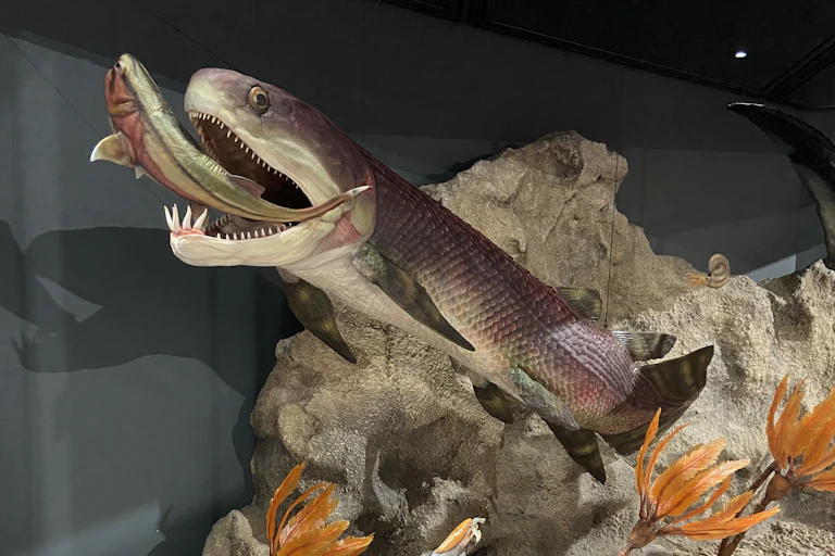 A Gogo fish diorama is displayed in a museum.
