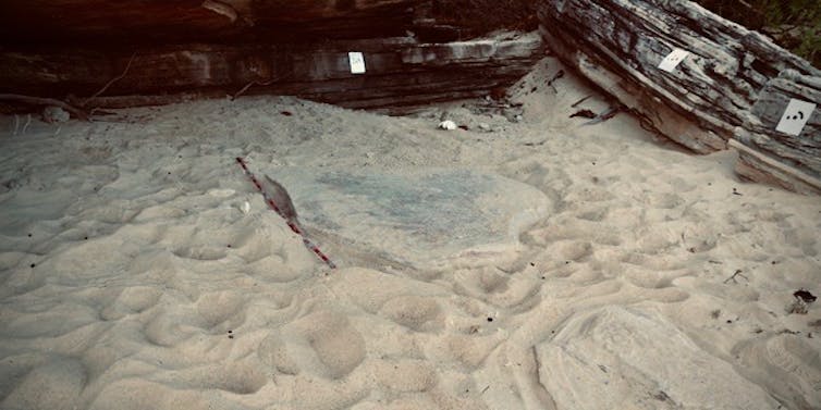 flat piece of rock partially buried in sand