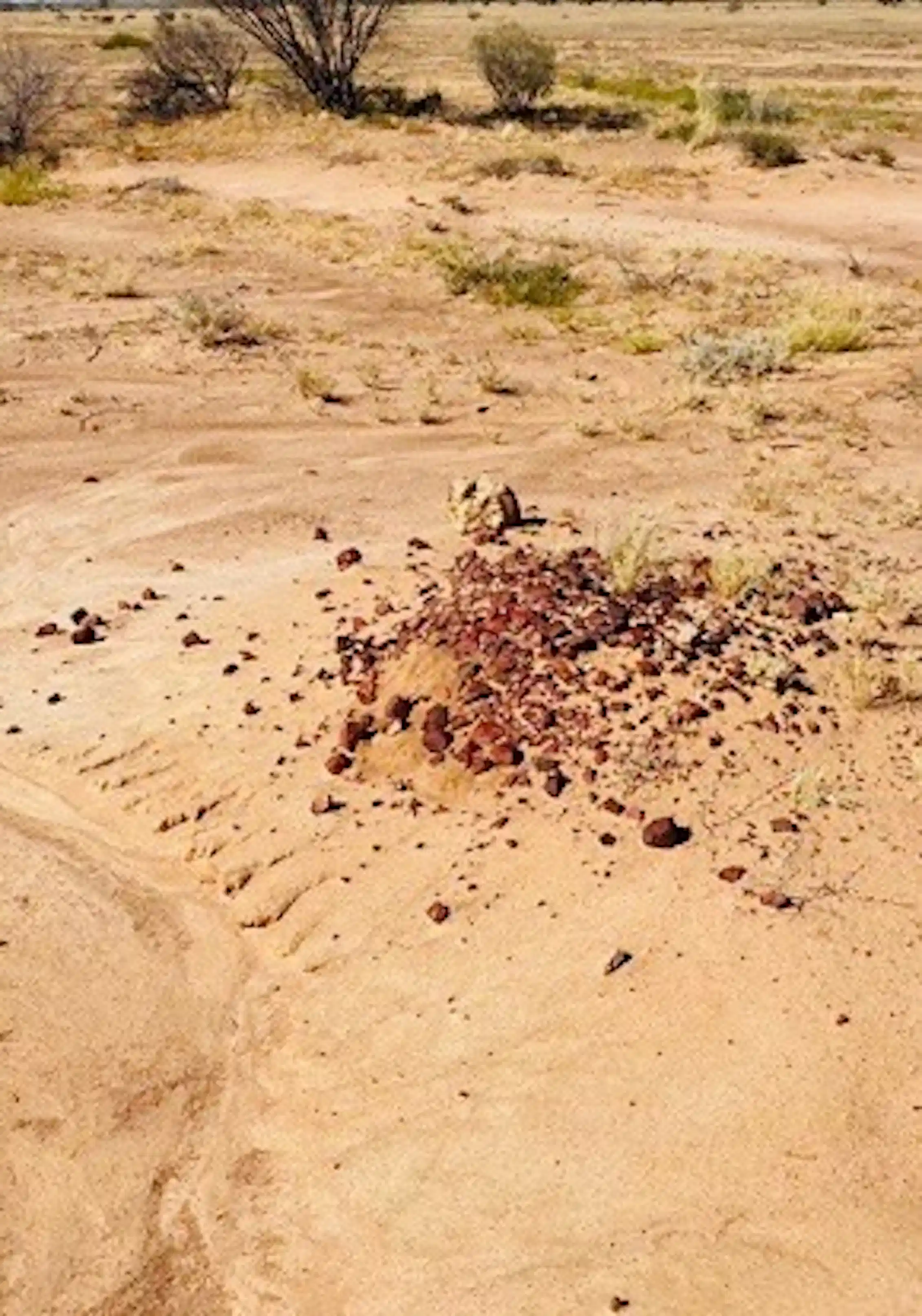 From crumbling rock art to exposed ancestral remains, climate change is ...