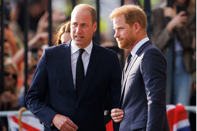 William and Harry in suits at Windsor, with members of the public in the background behind a gate.