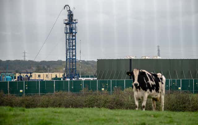 Cow in field, industrial structure in background
