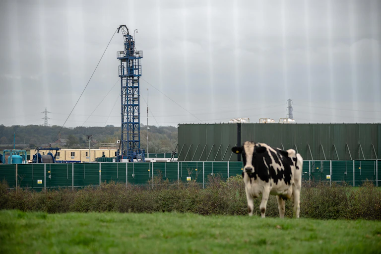 Cow in field, industrial structure in background