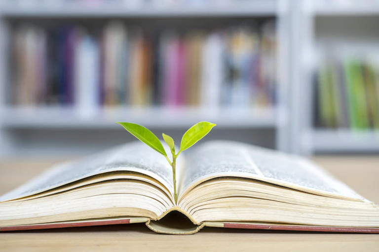 A book lies open, the words on its pages blurred. A small twig with green shoots is balanced between the open pages