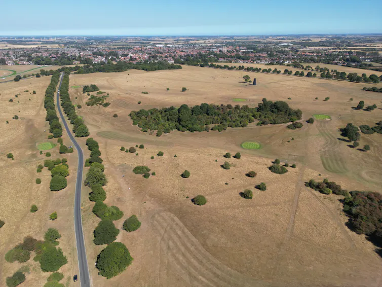 Aerial view of countryside