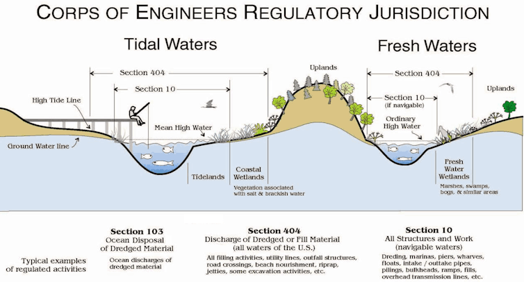 Graphic showing how far U.S. Army Corps of Engineers jurisdiction over wetlands extends