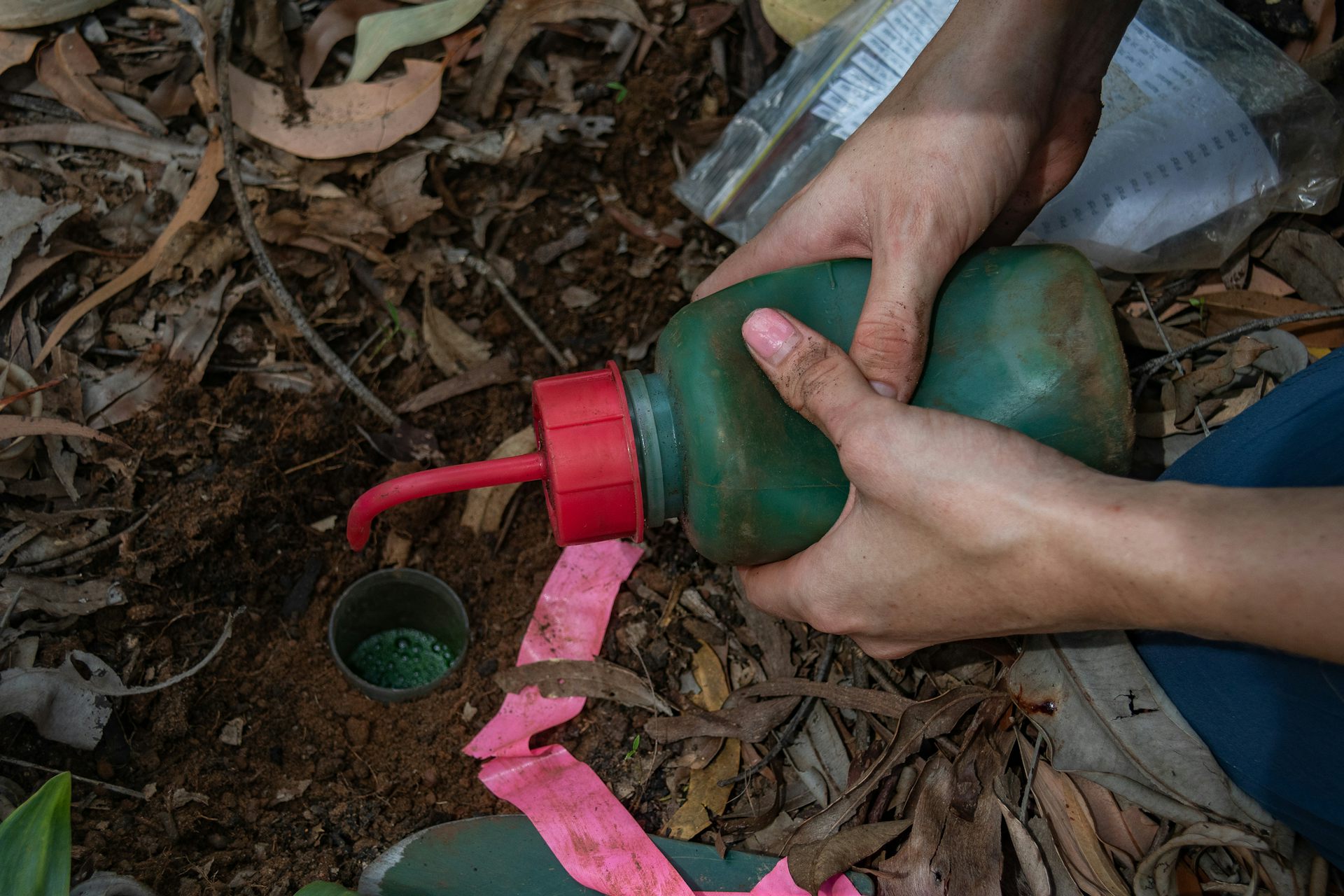 hand squeezes bottle of green liquid into hole in ground