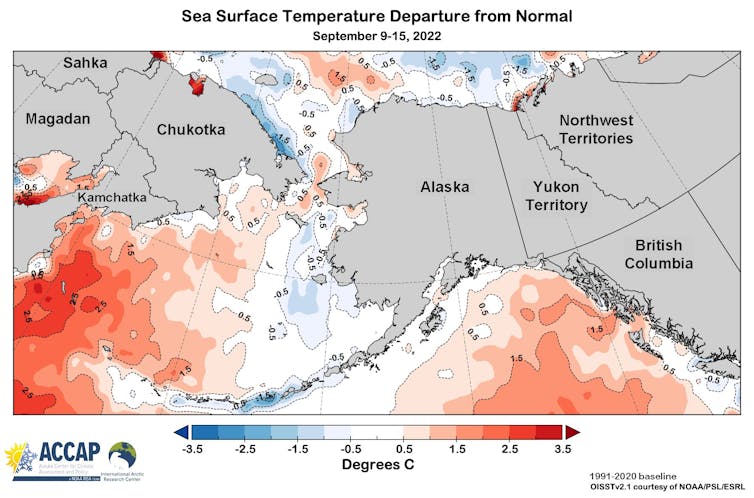 Map shows warm waters off Japan and Russia's Kamchatka region.