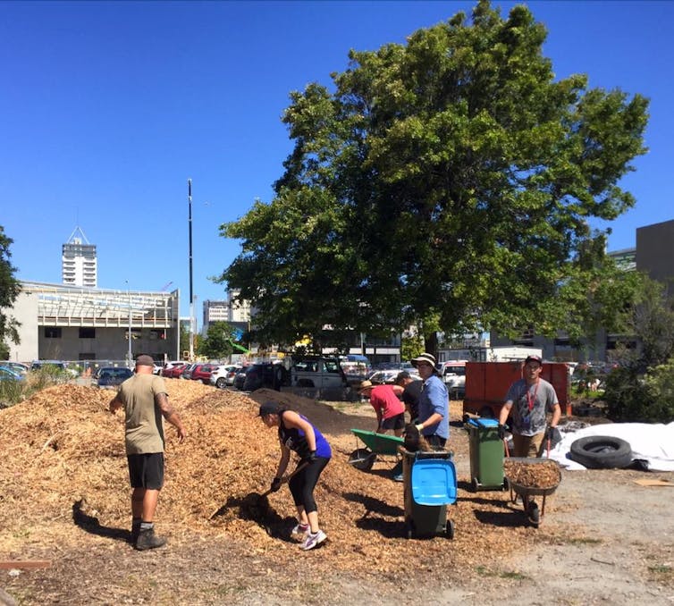 A group of people shovelling bark chips, with city buildings in the background