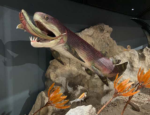 Le diorama d'un poisson Gogo.
