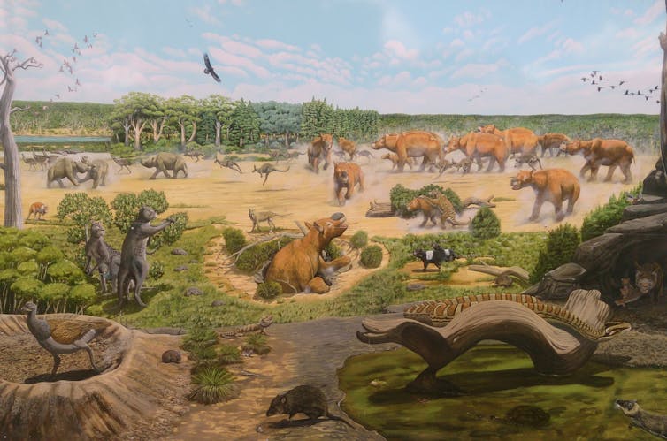 illustration of megafauna running and sitting