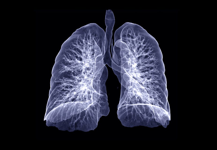 Illustration of see-through lungs against black background