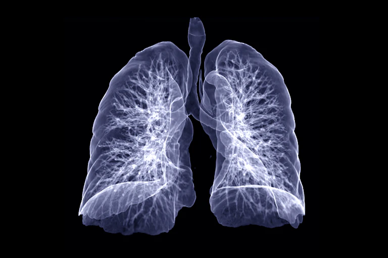 Illustration of see-through lungs against black background