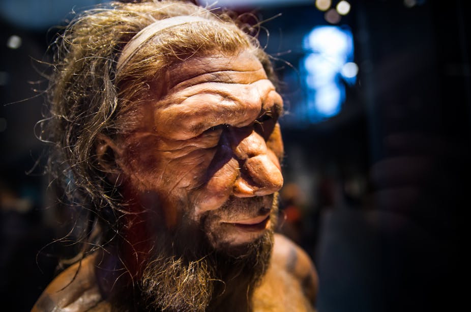 Wax model of male Neanderthal head with long hair, headband and beard
