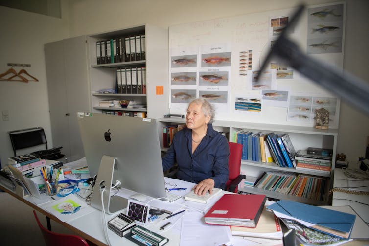 A woman sits at a computer amid an office filled with images and books.