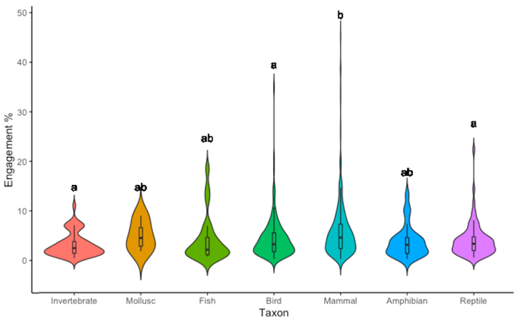 A violin plot highlighting the amount of engagement posts featuring each type of animal received.